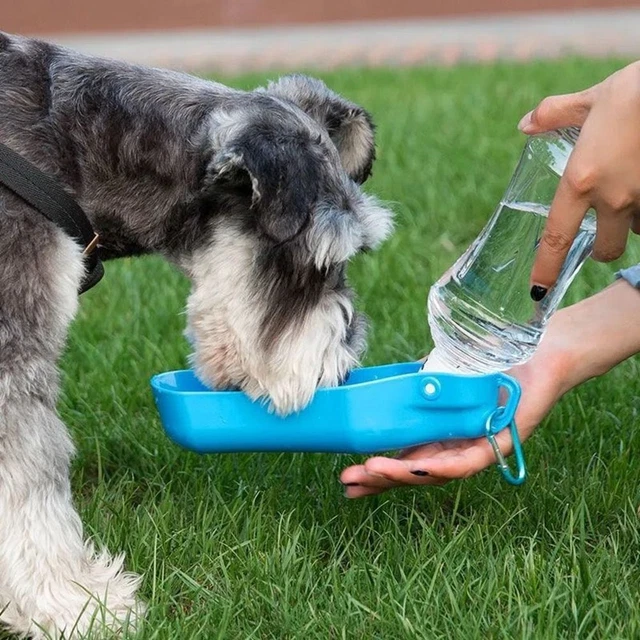 Containers Outdoor Travel Dog Bowl Pet Water Bottle Pet Drinker Dog Accessories