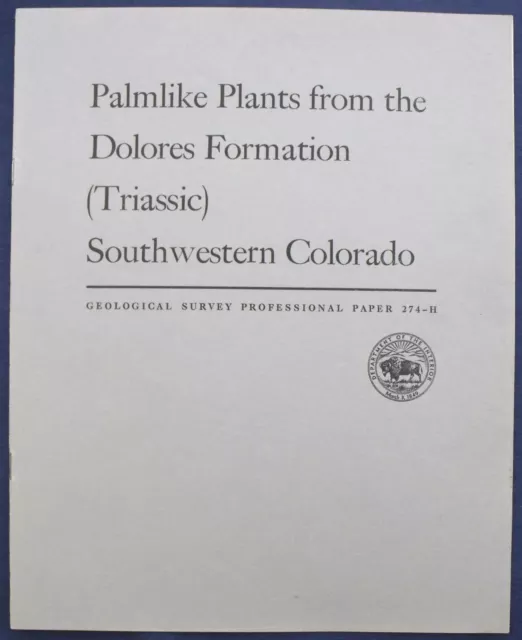 USGS TRIASSIC FOSSIL PALM-LIKE PLANTS from COLORADO, Vintage 1956 - SPECTACULAR!