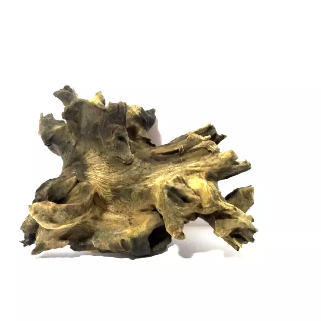 100% Organic Air Plant Holder Timber Bark Home Deco aquarium fish tank bogwood 3