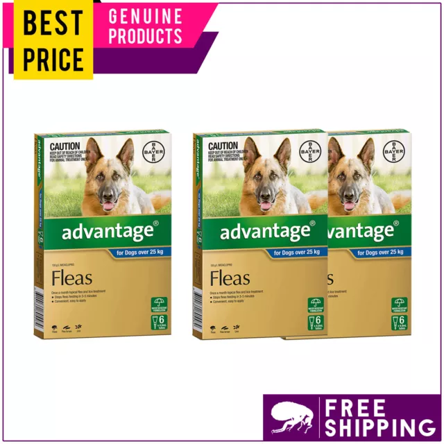 ADVANTAGE 6,12 Doses Flea Prevention for Extra Large Dogs Over 25 Kg BLUE Pack