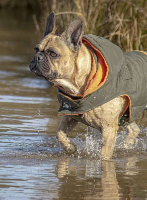 Huskimo Mt Buller Odour Free Dog Coat with Removable Hood - Wonderful for Winter