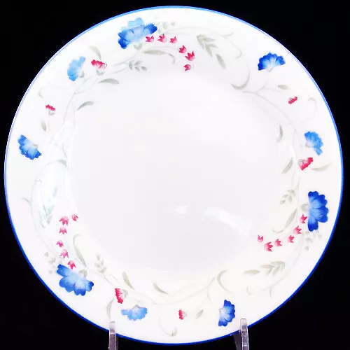 WINDERMERE by Royal Doulton Salad Plate 8" NEW NEVER USED made in England