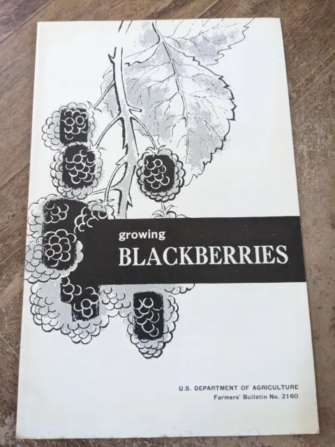 U S Dept of AG Bulletin # 2160 Growing Blackberries 1963