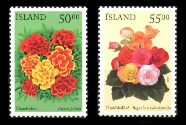 Islandia: flores (1005-1006 2004) montado sin montar o nunca montado