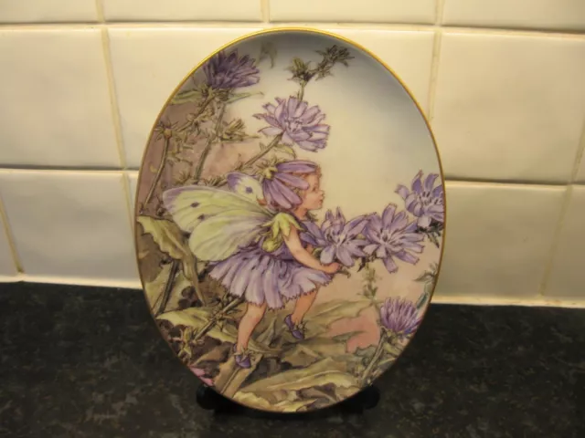 Flower Fairies Anniversary Plate - The  Chicory    Fairy     -  Royal Worcester