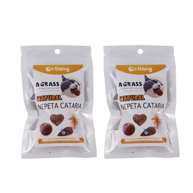 4 PCS Zähneknirschende Kauspielzeuge Für Katzen Minze-Stick