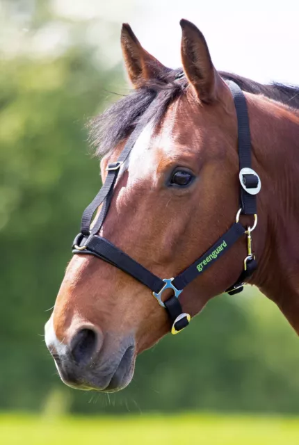 Greenguard Headcollar For Green Guard Grazing Muzzle