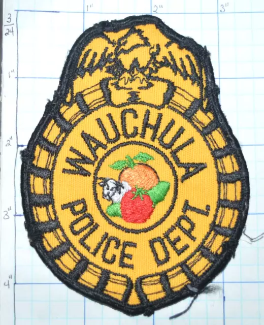 Florida, Wauchula Police Dept Vintage Patch