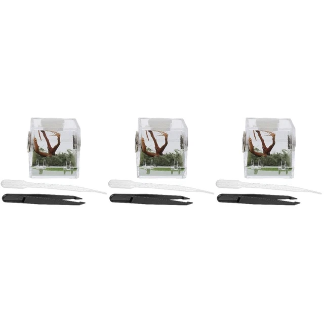 3x Reptile Habitat Feeding Box Spider Cage Jumping Spider Terrarium Acrylic Tank