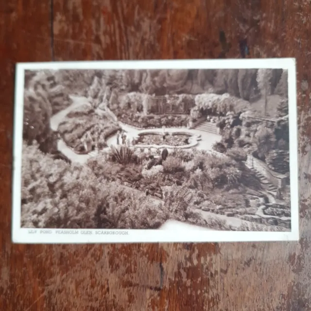 Lily Pond, Peasholm Park Glen, Scarborough. Unposted Vintage Postcard.