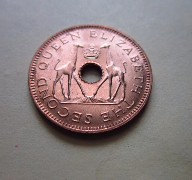RHODESIA & NYASALAND 1/2 Penny 1958 BU Zimbabwe Zambia Malawi Giraffe Coin 9858#