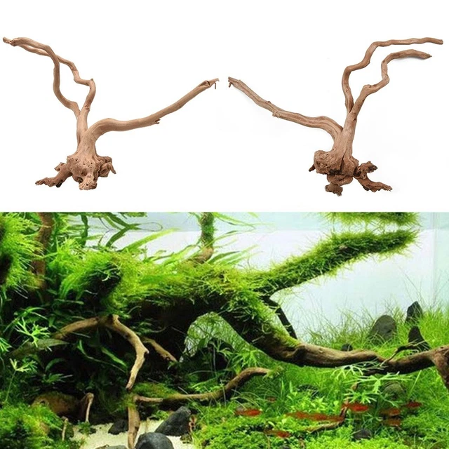 Stock Ru , Trixie Grand Mopani Bois Aquarium Poisson Décor Naturel Bois Flotté