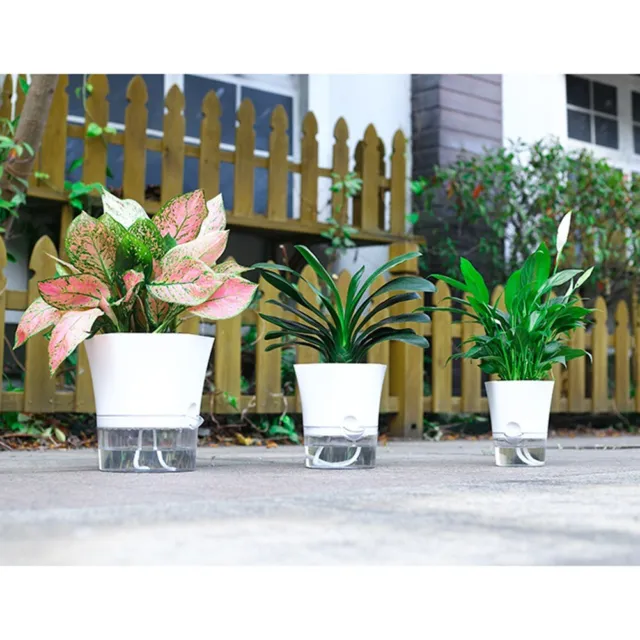 Transparent Auto-Arrosage Plante Fleur Plastique Pot-Planter Jardin Décor