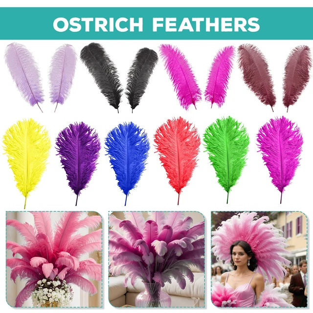 Lot De 120 Plumes Naturelles De 12,7 à 17,8 Cm Pour Loisirs Créatifs, Plumes De Coq En Vrac, Pour Mariage, Fête, Attrape-rêves Et Loisirs Créatifs ( Naturelle