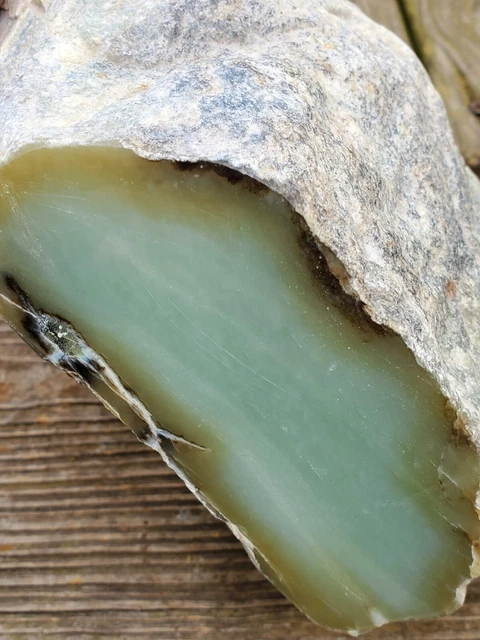 Siberian Light Blue Jade Rough, 6lbs 4oz
