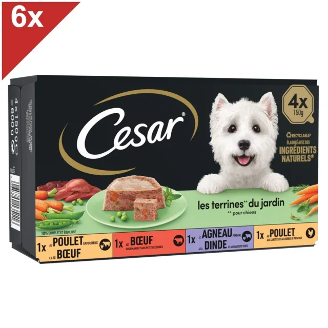 CESAR 24 Barquettes en terrine 4 variétés pour chien 150g (6x4)
