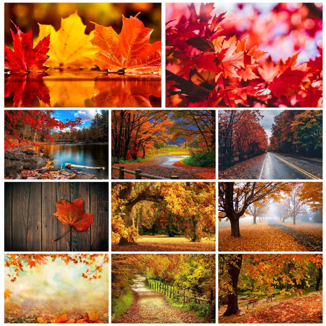 3x5ft 5x7ft Autumn Photography Background Fall Forest Leaves Backdrop Decoration