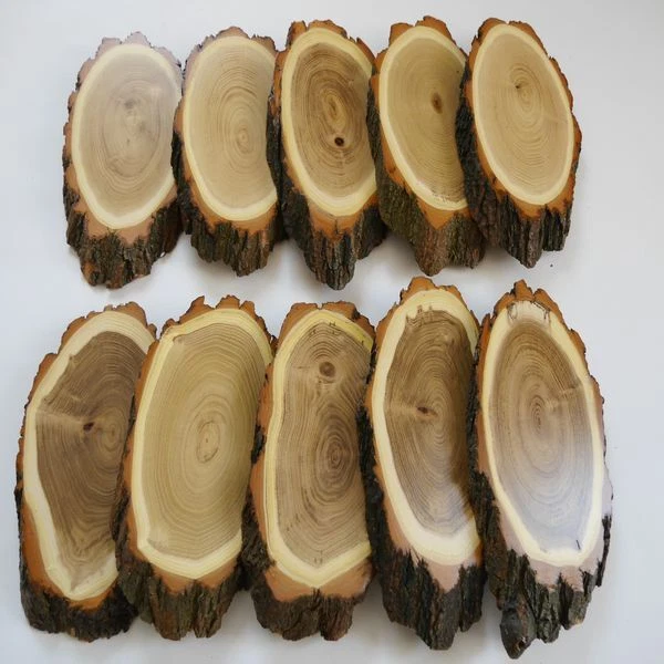 10 Pieza Escudo de Trofeo Acacia Ciervo Af 20-21 CM Corzo Baumscheibe Baumschild