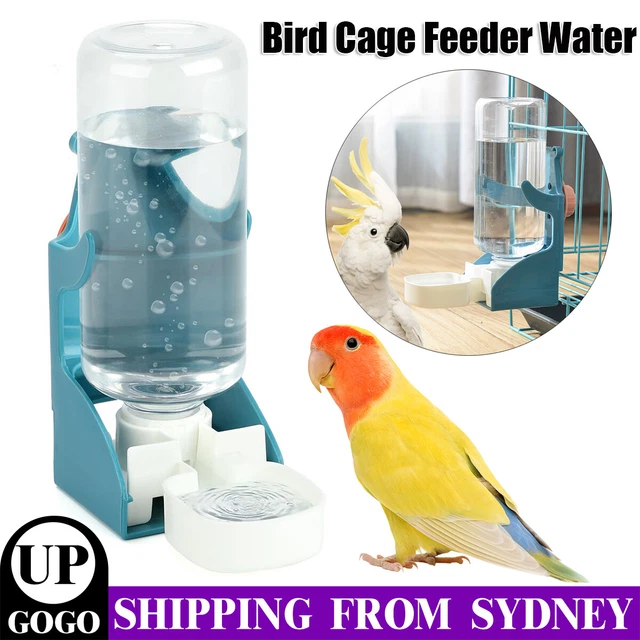 Curated visual reference: Visual Reference: Bird Water Feeder 500Ml Automatic Bird Cage Feeder Parrot Water