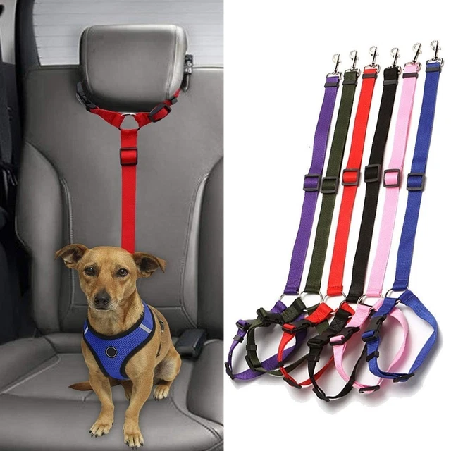 DOG COLLAR CAR Safety Harnesses Lead Restraint Strap For Small Medium