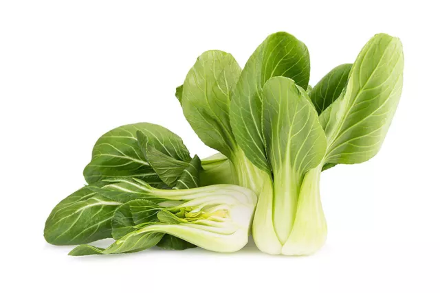 1.000 Graines PAK CHOI variété CANTON Bok Choy Mini Chou chinois non traitées