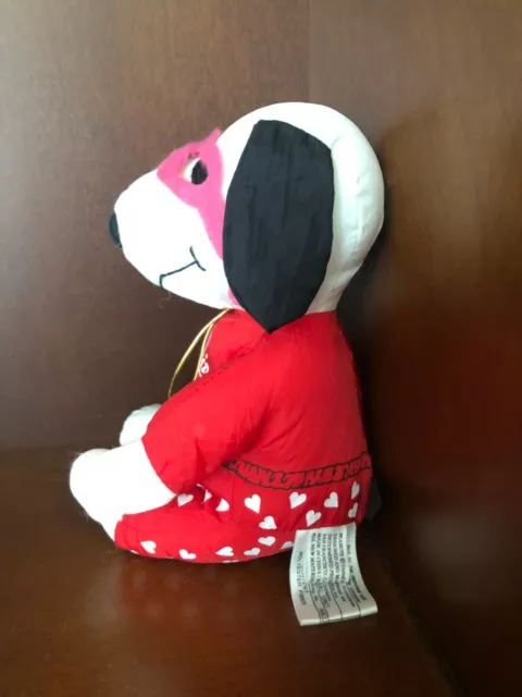 Peanuts Snoopy My Cool Valentine 6" Whitmans 2