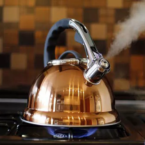 Voche 3.5L Copper Stainless Steel Whistling Kettle Gas Electric & Induction Hobs
