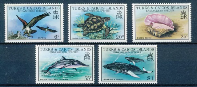 [BIN15378] Turks & Caicos Isl 1979 Marine Life good set of stamps very fine MNH