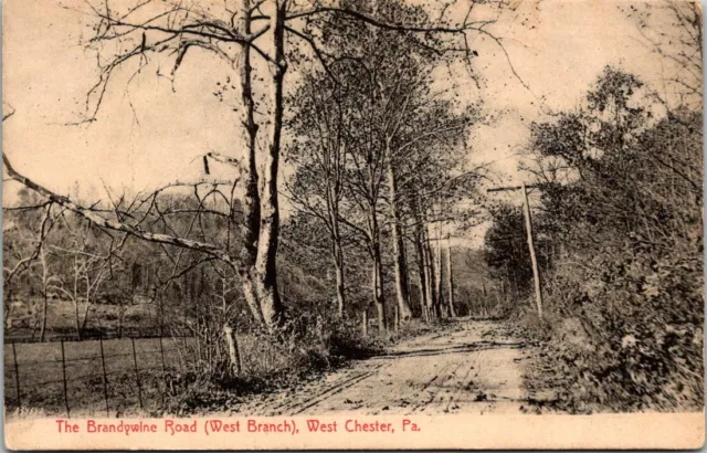 The Brandywine Road West Branch West Chester Pennsylvania Old Postcard RPPC B12