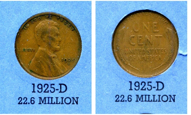 Lincoln Head Wheat Cent 1925 D Average Circulated United States Penny Coin#4752