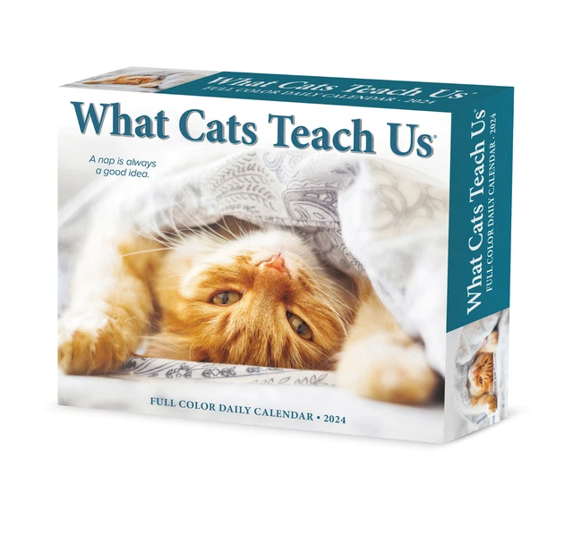 WHAT CATS TEACH Us 2024 6.2" x 5.4" Box Calendar 17.99 PicClick