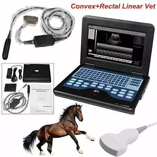 VET Veterinary Ultrasound Scanner Laptop Machine Convex and Rectal 2 Probes USA