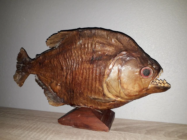 Modèle Squelette Poisson Taxidermie 1:1 – Résine, 21 Cm, Pour Étude, Décoration, Cadeau