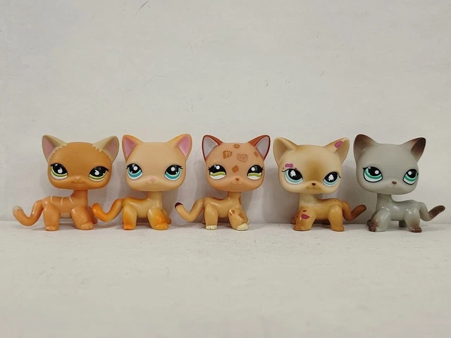 Lps shorthair deals 1120