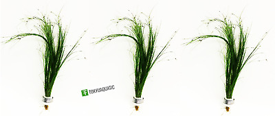 x3 Eleocharis Vivipara Long Tall Hairgrass Bunch Tropical Live Aquarium Plants