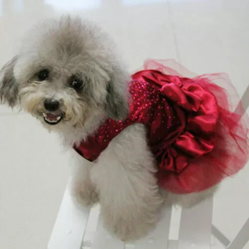 Dog Costume Cat Bow Princess Pet Lace Puppy Dress Skirt Tutu Clothes Apparel