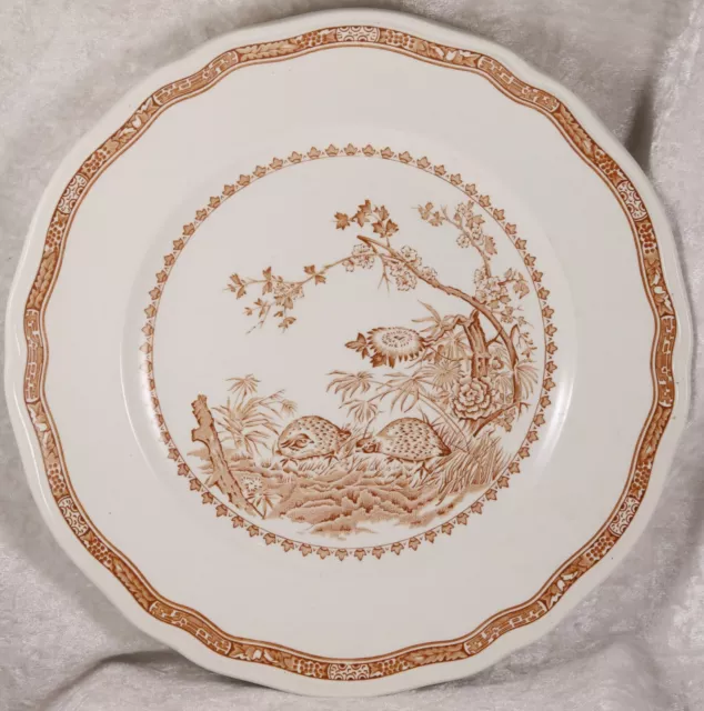 Furivals Quail  1913 10 inches across large dinner plate Game birds