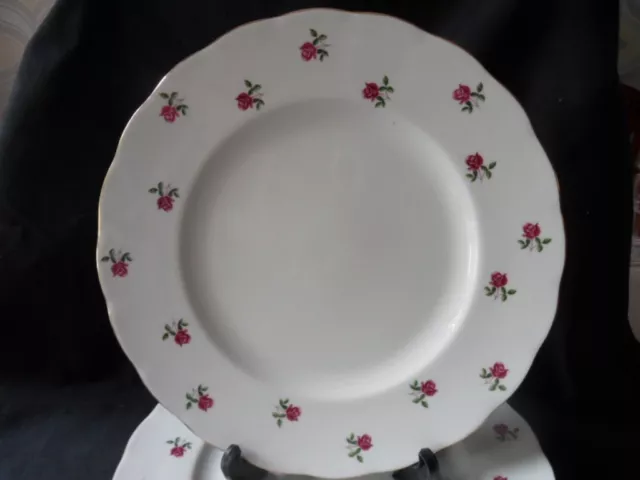 Colclough Bone China Fragrance - Pink Rose Bud  -8 inch Salad Plate