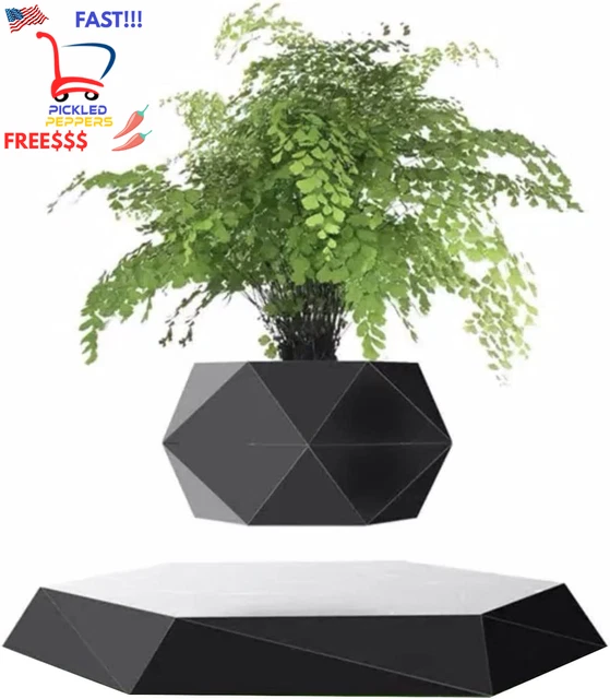 Magic Science Magnetic Levitating Flower Pot Air Bonsai Black Hexagon Suspension