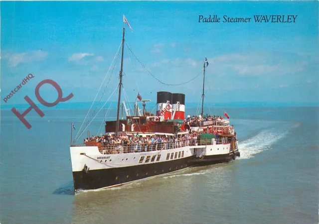 Picture Postcard>>PADDLE STEAMER WAVERLEY