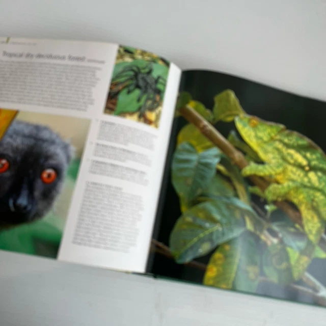 TREES: THE MACMILLAN Visual Guide Tony Rodd & Jennifer Stackhouse HC ...