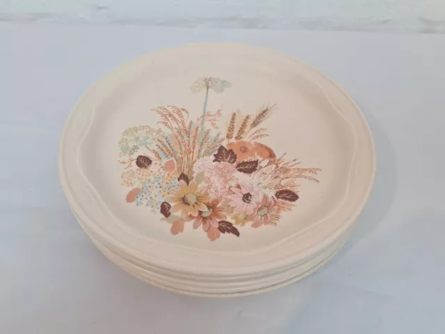 5 Vintage Poole Pottery Summer Glory Stoneware Dinner Plate 22cm