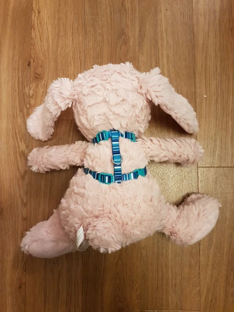 Lapin - Chat - Chaton - Harnais Cochon D'inde (Bande Bleue & Blanche)