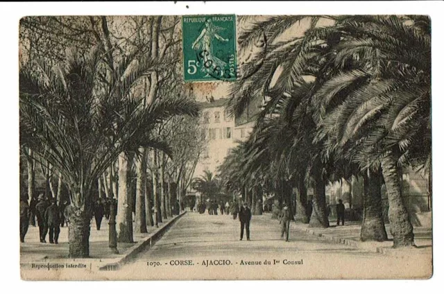 CPA- Carte Postale-France -Ajaccio-  Avenue du Premier Consul -1908-VM16447