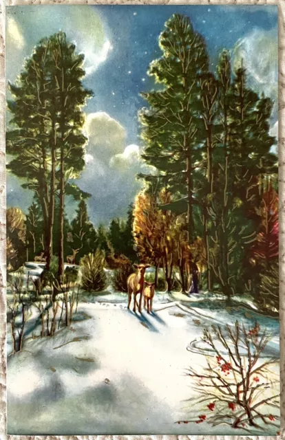 Unused Christmas Deer Woods Winter Tree Clouds Vintage Greeting Card 1960s 1970s