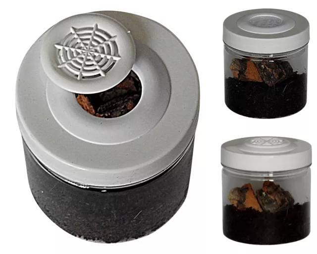 Spiderling Rearing Pots Ideal for Tarantula Slings  (Two styles available)