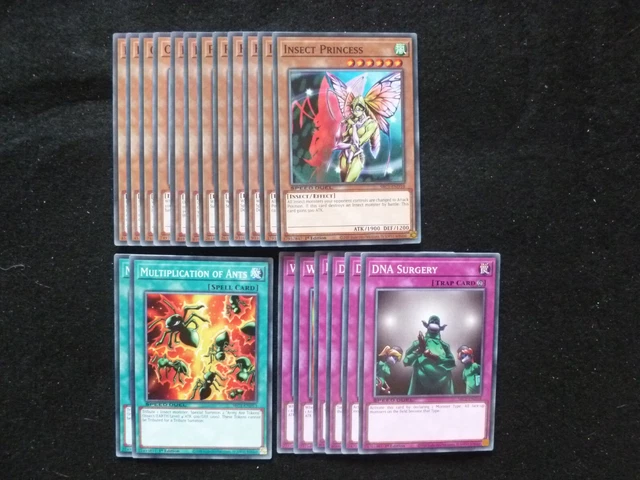 YU-GI-OH 20 CARD Insect Queen / Weevil Underwood Speed Duel Deck *Ready To  Play* 5.39 - PicClick UK