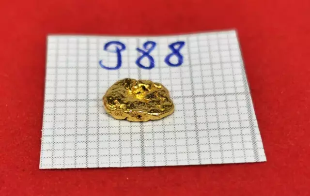 #988 Goldnugget Alaska Yukon Gold Nugget 0,475 Gramm Złoto Nuggets Gold Münze