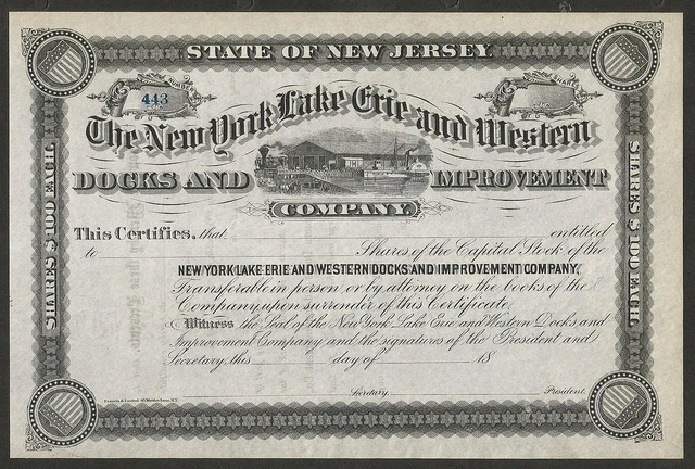 The New York Lake Erie & Western Docks & Improvement Company 1800s Stock