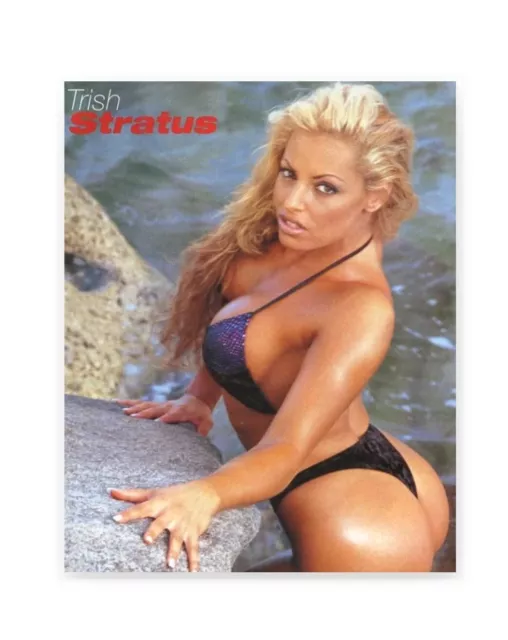 Trish Stratus Swimsuit 8x10 Photograph Matte Finish.